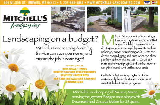 Landscaping on a budget